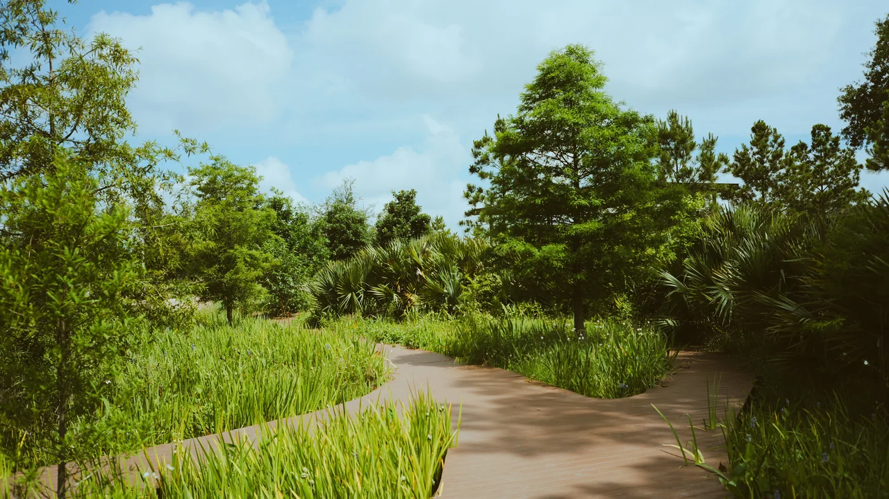 A pale path winds through grasses and trees.